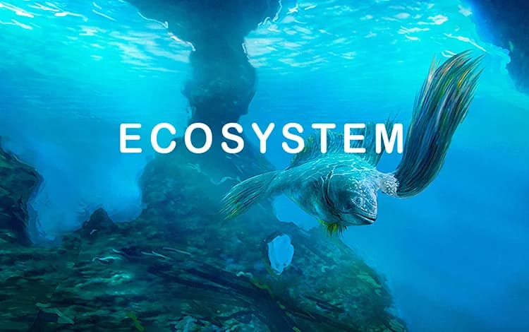 Ecosystem
