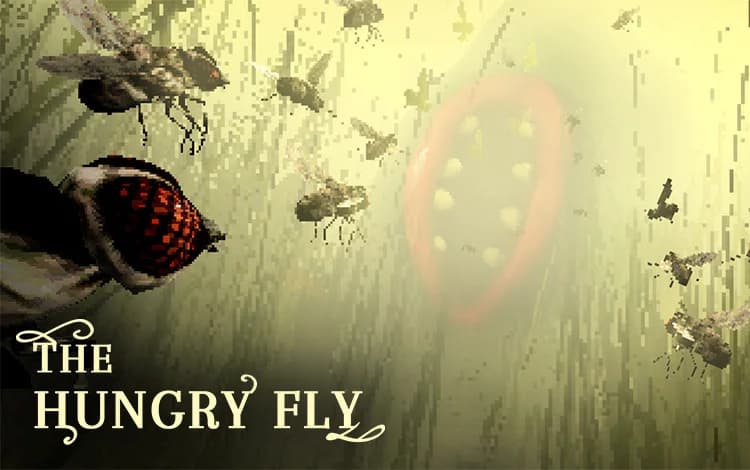 The Hungry Fly
