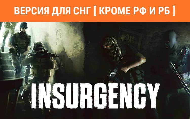 Insurgency